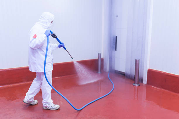 Best Sign and Awning Cleaning  in Heyworth, IL